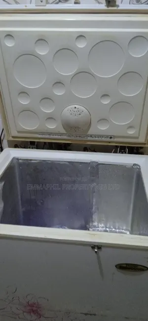 Thermocool Deep Freezer