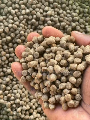 Island Floating Fish Feed
