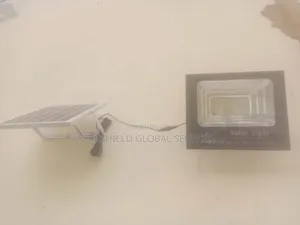 Outdoor Solar Camera + Led Floodlight
