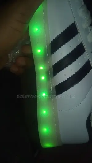 Party Canvas With Light