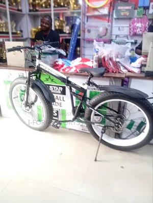 Foldable Big Tyre Hero Bike