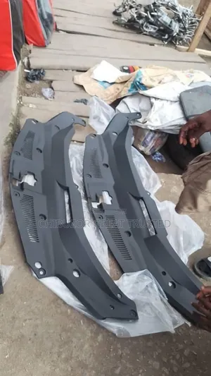 Radiator Plastic for Rx 350 2016/2021