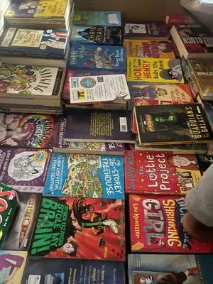 Children And Teenagers Age 4 - 18,Novel And Story Books Available