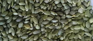 500g Pumpkin Seed