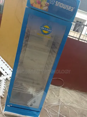 Snowsea 258l Chiller Showcase