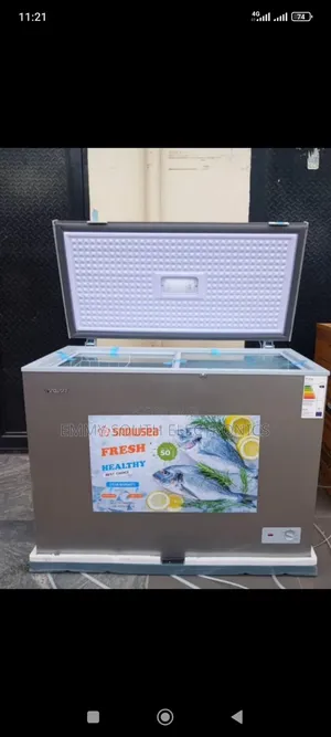 Snowsea Low Energy Saver Chest Deep Freezer 300 Liters
