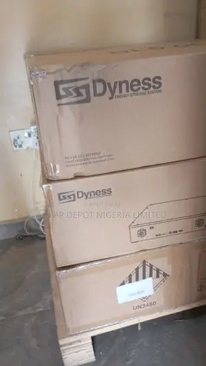 5kwh Dyness Lithium Battery