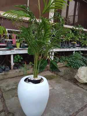 Artificial Plant