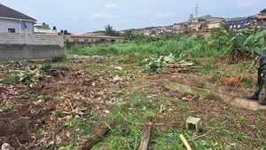 250 SQM of Land Available for Sale at Celestial Estate Ogba