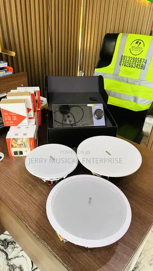 Alexa And Tuya Amplifer With Ceiling Speakers And Switches