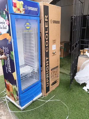 Snowsea 400l Vertical Glass-Door Store Display Fridge