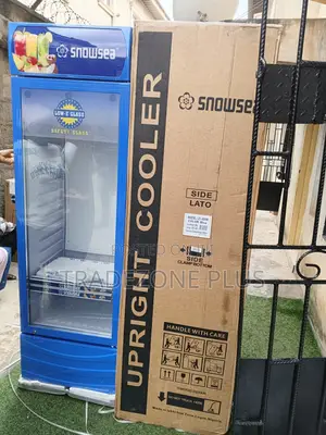 Snowsea 400l Cold Display Cabinet for Shops