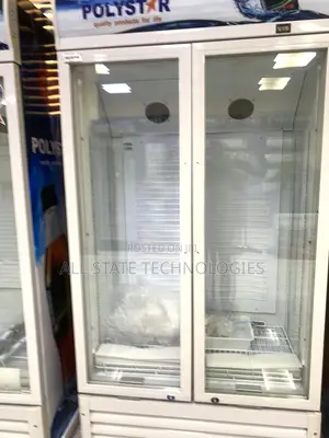 Polystar 363l Dual Door Drinks Display Refrigerator