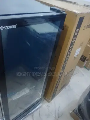 Snowsea Ls 270 Upright Beverage Cooler With Glass Door