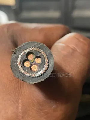 4x10mm2 Armoured Cable Nigerchin Electric Cable