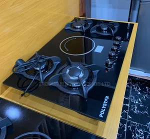 Original Polystar New Design in 2025 Model Built-in Gas Electric