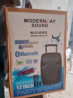 Modern Day Pa System 12 Inches 3500w