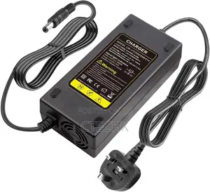 54.6v 48v 2a Electric Bike Lithium Battery Charger for 48v 2a