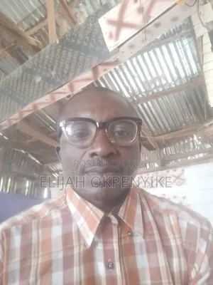 Mr. Okpenyike Elijah