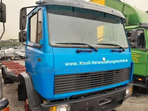 Mercedes-Benz Truck 814 Calf and Chassis