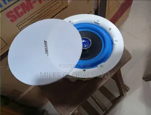 Bose Ceiling Speakers