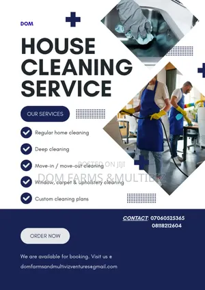 Home Furniture Deep Cleaning