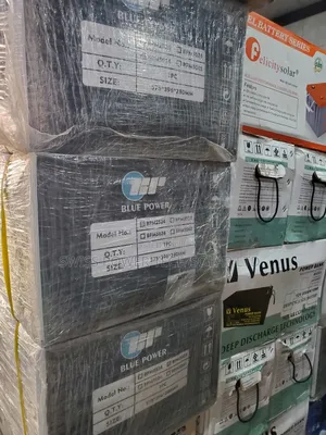 Hybrid Solar Inverter Blue Power