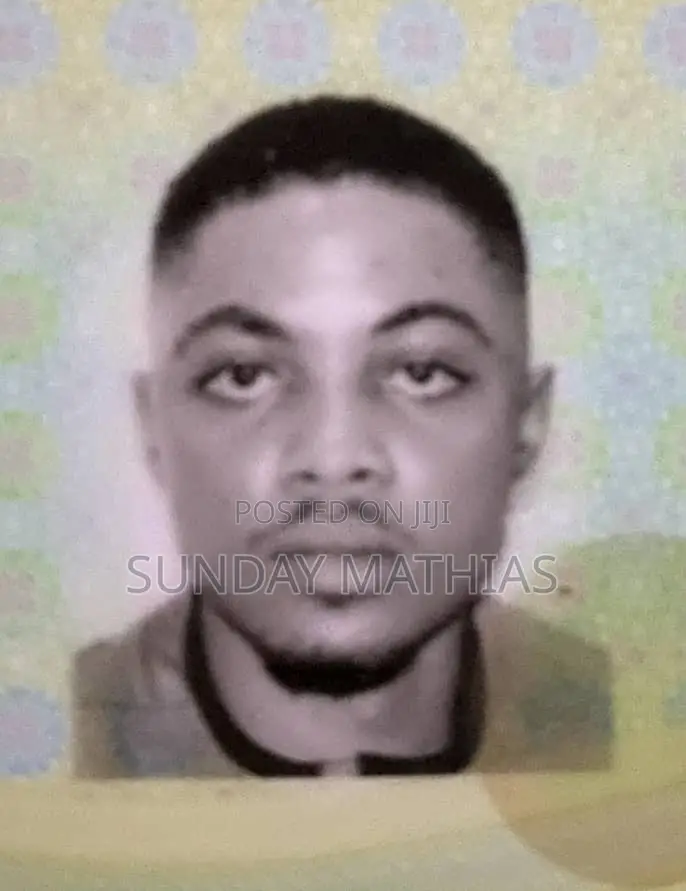Online Freelancer