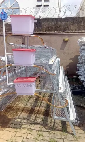High Quality Poultry Cage /Chicken Cage