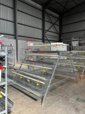 High Quality Poultry Cage /Chicken Cage