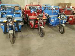 Electric Tricycle