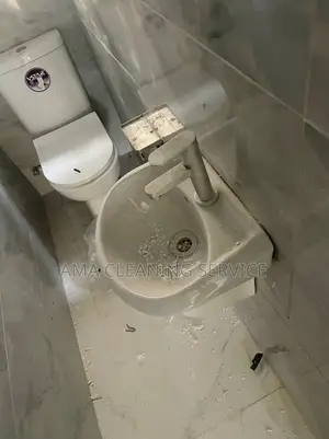 Post Construction Cleaning Toilet Disinfection