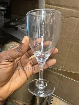 Acrylic Wine Cup