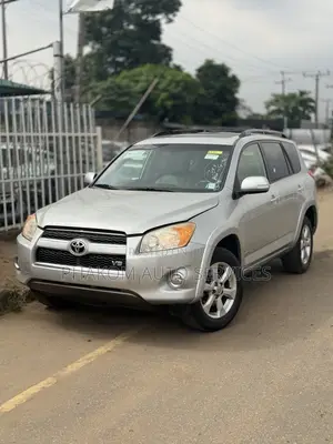 Toyota RAV4 2009 Silver