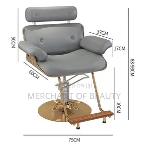 Salon Chair