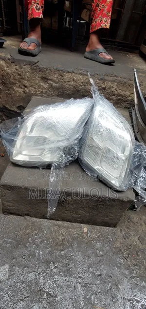 Headlight Ford Fusion 2005 Model Set