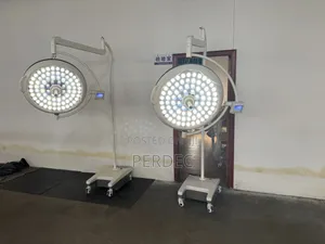 Standing Led Theater Light