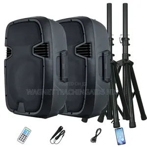 Pas With Two Wireless Microphone For Rent