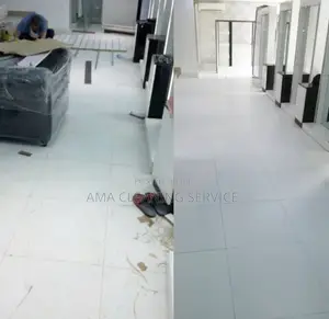 Professional Cleaning Services
