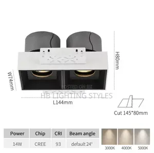 Double Head Frameless Spotlight