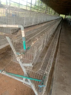 Adeshina Oni Cages