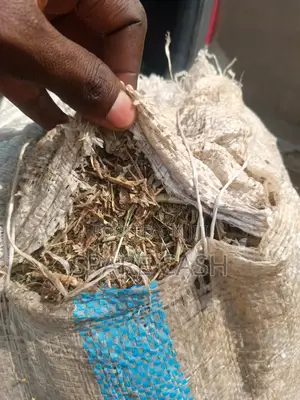Rabbit Hay