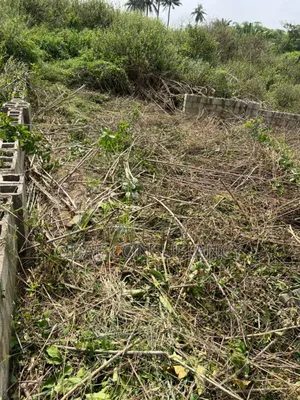 A Plot of Land for Sale at Ologuneru
