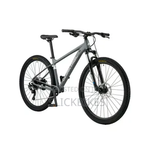 29" Ozark Trail Ridge Mountain Bike