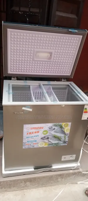 Snowsea Deep Freezer, Anti-Rust Body, Low Voltage