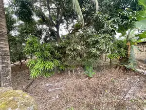 3.5 Plots of Land for Sale at Rinsayo, Hallelujah Estate, Osogbo
