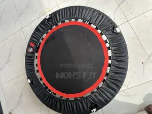 Trampoline for Home Workout