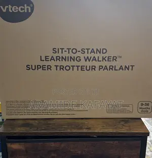 Vtech Sit to Stand Learning Walker