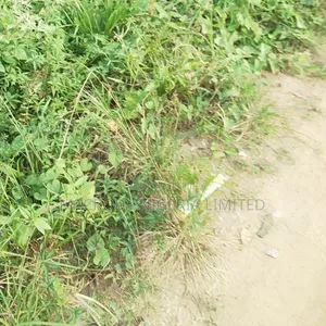 Joint Venture Land Available for Sale