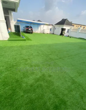 Carpet Grass Best in the Whole Market